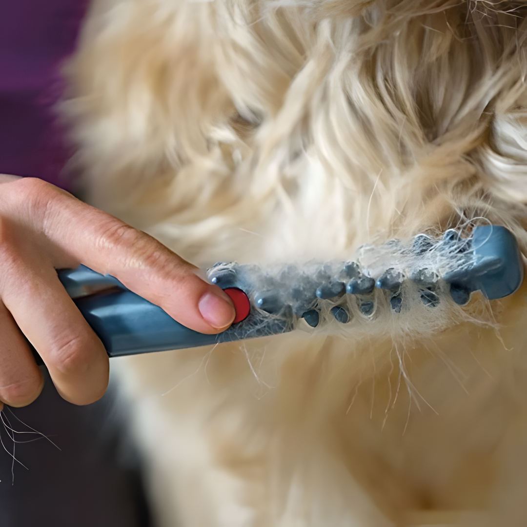 FurGems | Gentle Efficient Dog Grooming Clippers for Tangle-Free Coats 2