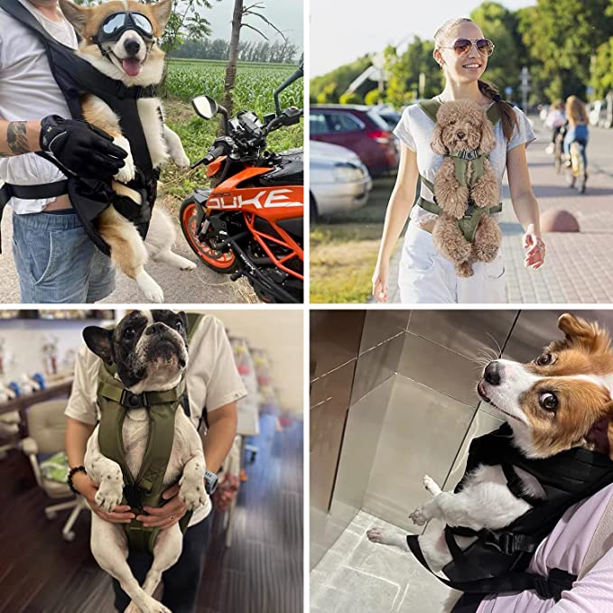 Hands-Free Dog Carrier Backpack, Adjustable Travel Bag for Small Dogs, Comfortable Pet Carrier Bag 1