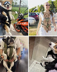 Hands-Free Dog Carrier Backpack, Adjustable Travel Bag for Small Dogs, Comfortable Pet Carrier Bag 1
