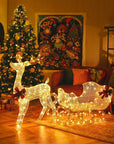 HolidayDeer – Lighted Christmas Reindeer with Santa's Sleigh and 215 Lights 2