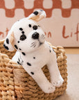 Huggable Plush Puppy – Soft Stuffed Teddy Toy for Kids, Toddlers, and Baby Gifts 4