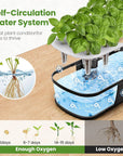 HydroBloom | Innovative Indoor Hydroponic Garden System with 12 Pods 6