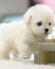 Interactive Dog Toy - Voice and Touch Responsive Robot Puppy with Realistic Movements 3