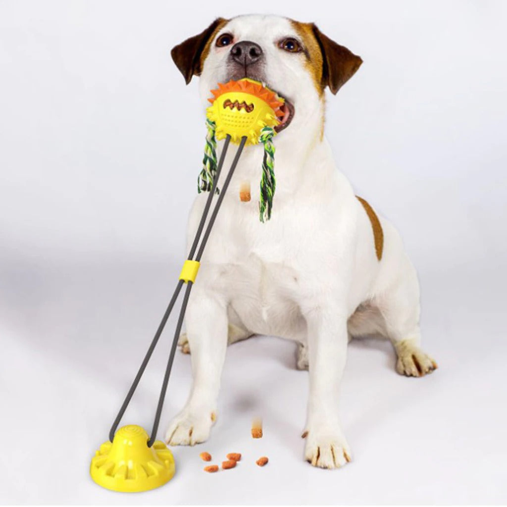 Interactive Self-Playing Pet Toy - Durable Dog Toy with Chew Bars and Rolling Balls for All Sizes, Promotes Dental Health 5