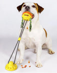 Interactive Self-Playing Pet Toy - Durable Dog Toy with Chew Bars and Rolling Balls for All Sizes, Promotes Dental Health 5