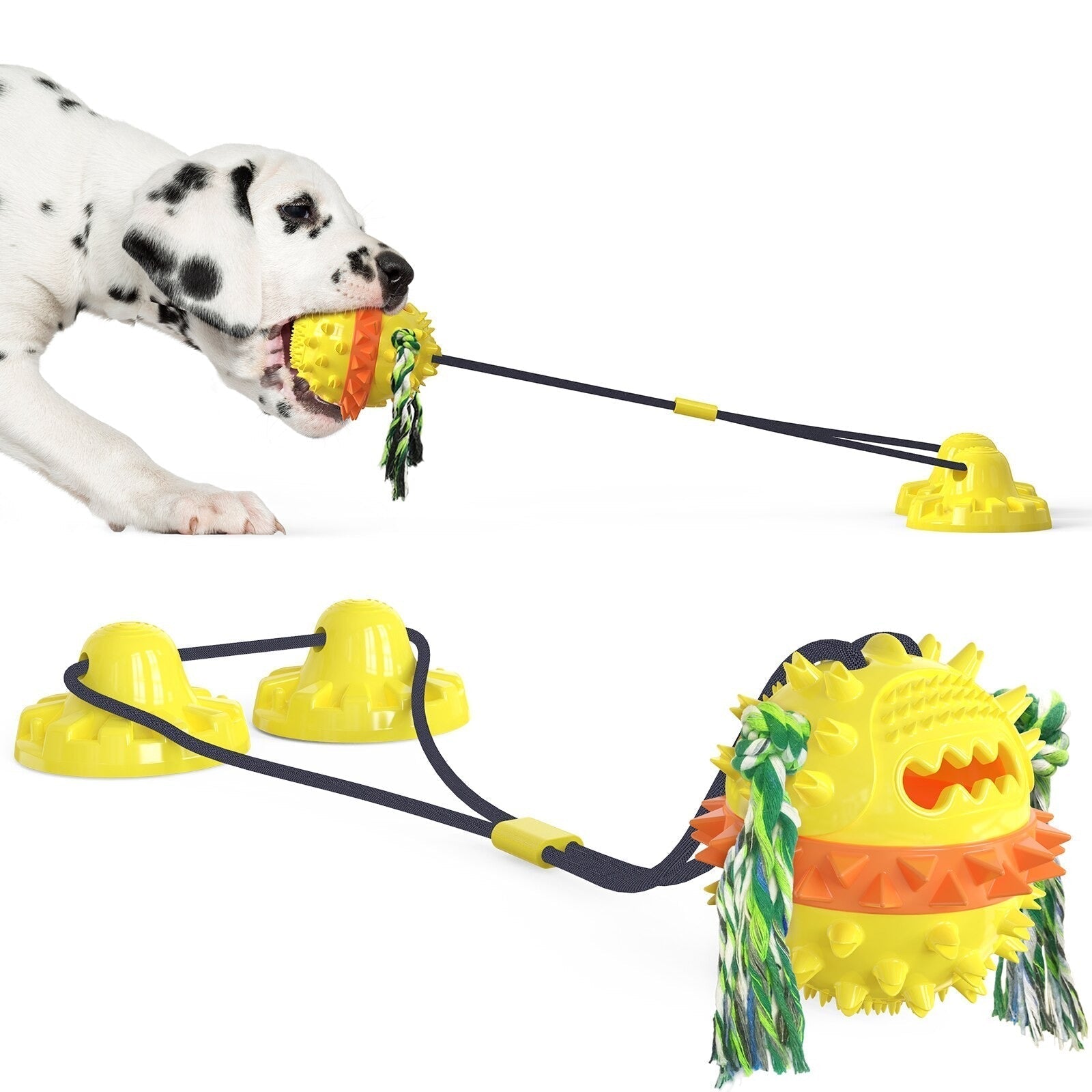 Interactive Self-Playing Pet Toy - Durable Dog Toy with Chew Bars and Rolling Balls for All Sizes, Promotes Dental Health 6