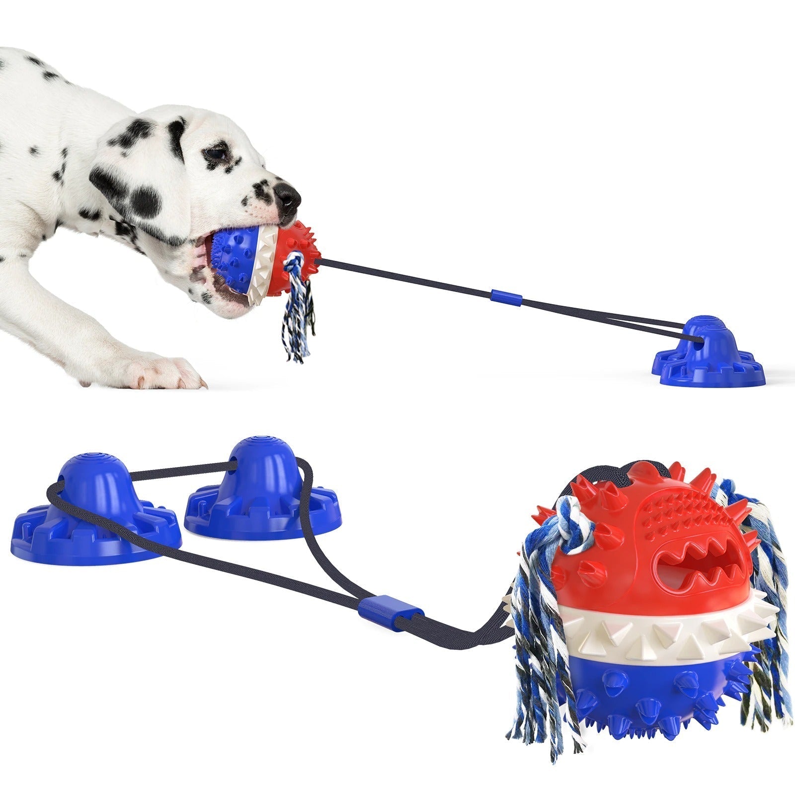 Interactive Self-Playing Pet Toy - Durable Dog Toy with Chew Bars and Rolling Balls for All Sizes, Promotes Dental Health 7