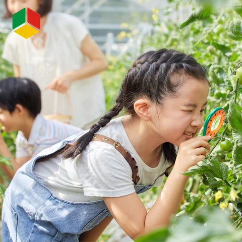 Kids' Insect Exploration Set - Safe Plastic with Magnifying Glass and Terrarium 3