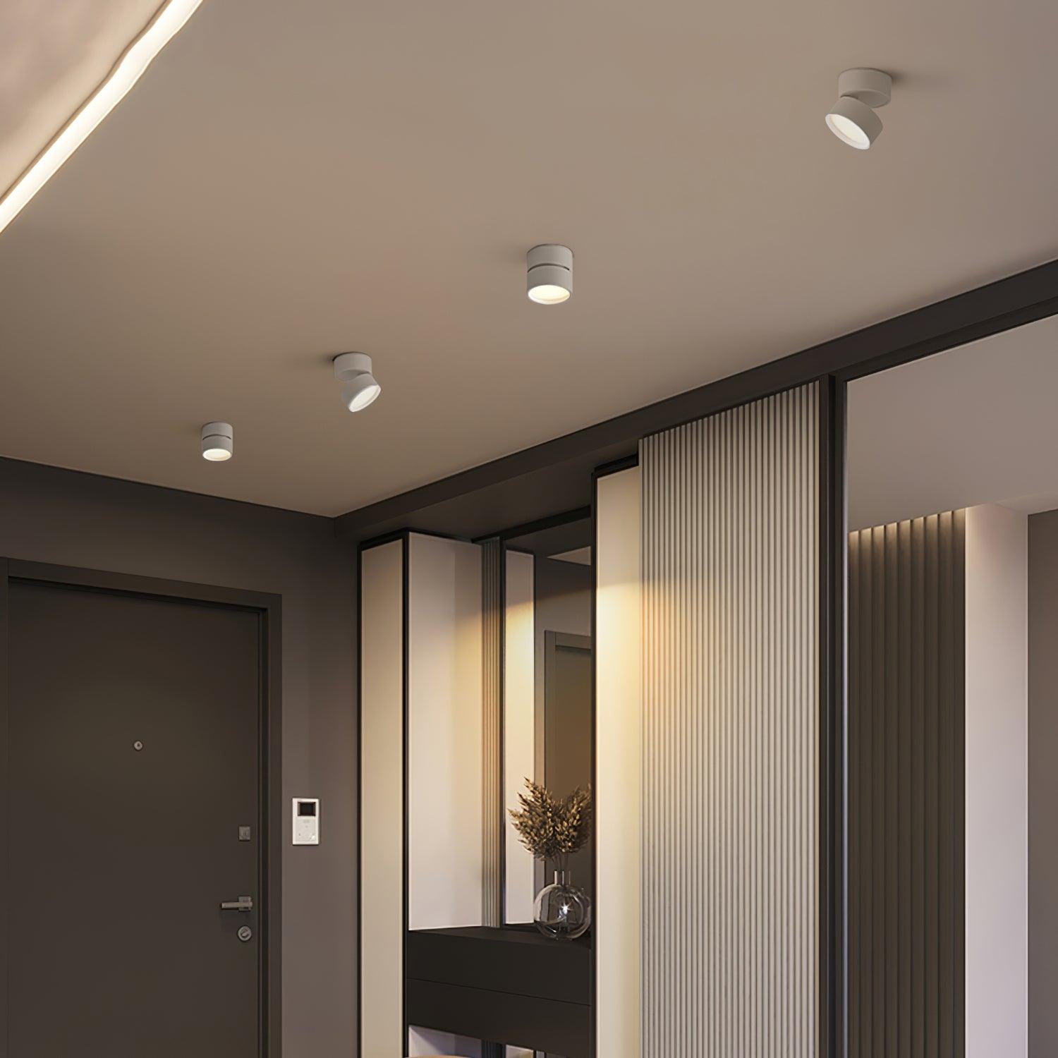 Lumary | Timless (2 pack) Surface Ceiling Lamp 4