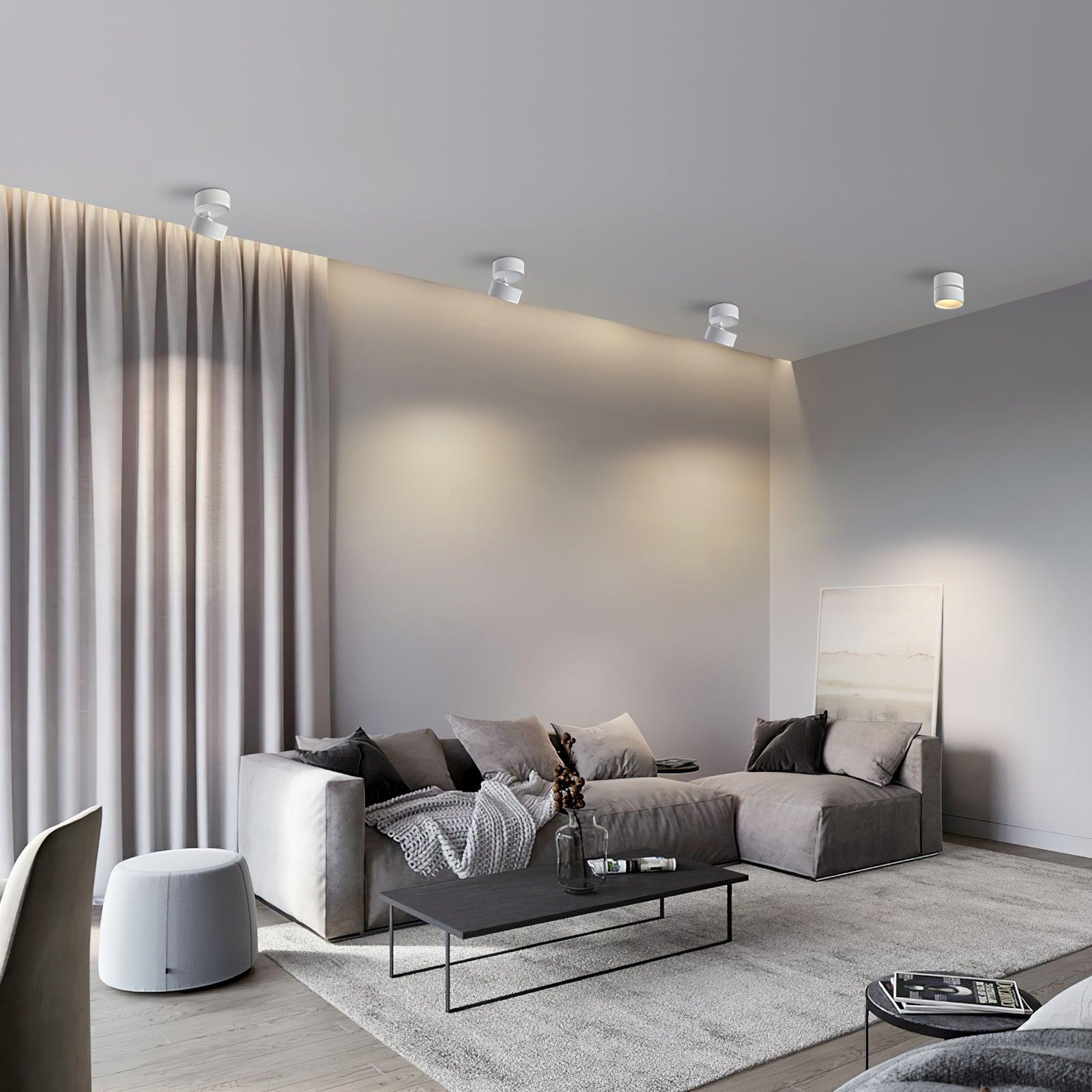 Lumary | Timless (2 pack) Surface Ceiling Lamp 5