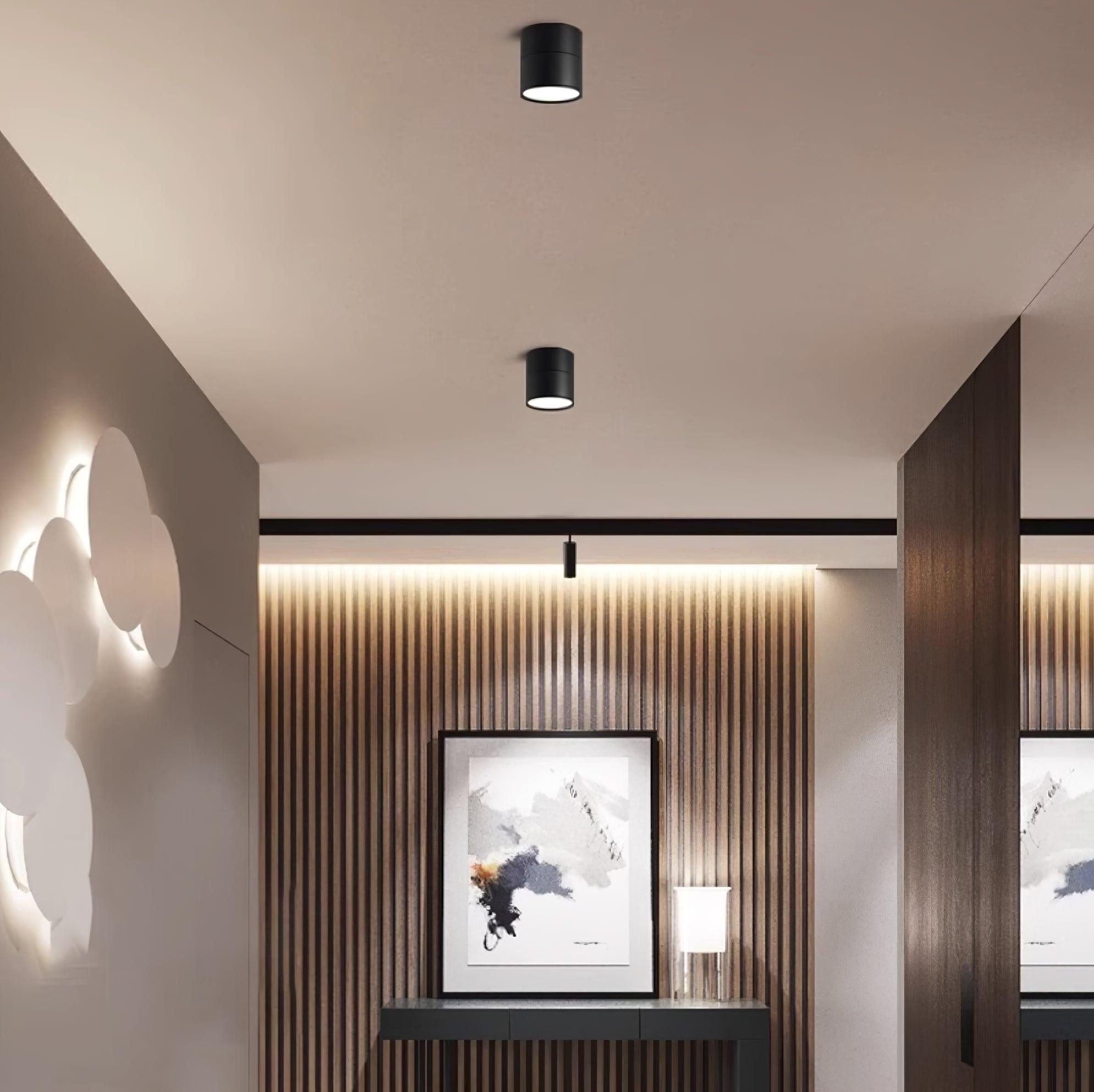 Lumary | Timless (2 pack) Surface Ceiling Lamp 7