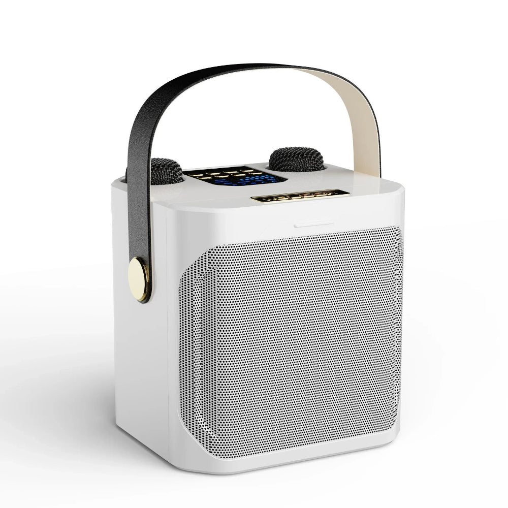 MelodyWave | Powerful Portable Karaoke Speaker With Microphones 2