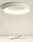 Minimalist LED Flush Mount Ceiling Light – Scandinavian Design for Soft Illumination, 30cm Diameter Ceiling Light Fixture 1
