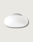 Modern Flush Mount Ceiling Light Fixture, LED Indoor Lighting for Home and Office, Energy-Efficient, 20cm to 50cm Diameter Options 1