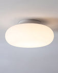 Modern Flush Mount Ceiling Light Fixture, LED Indoor Lighting for Home and Office, Energy-Efficient, 20cm to 50cm Diameter Options 2
