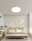 Modern Flush Mount Ceiling Light Fixture, LED Indoor Lighting for Home and Office, Energy-Efficient, 20cm to 50cm Diameter Options 3