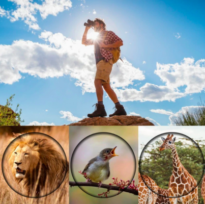 NightVisionPro | High-Performance Waterproof 60x60 Binoculars 3