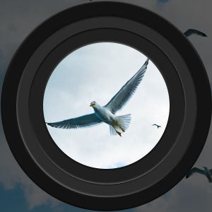 NightVisionPro | High-Performance Waterproof 60x60 Binoculars 5