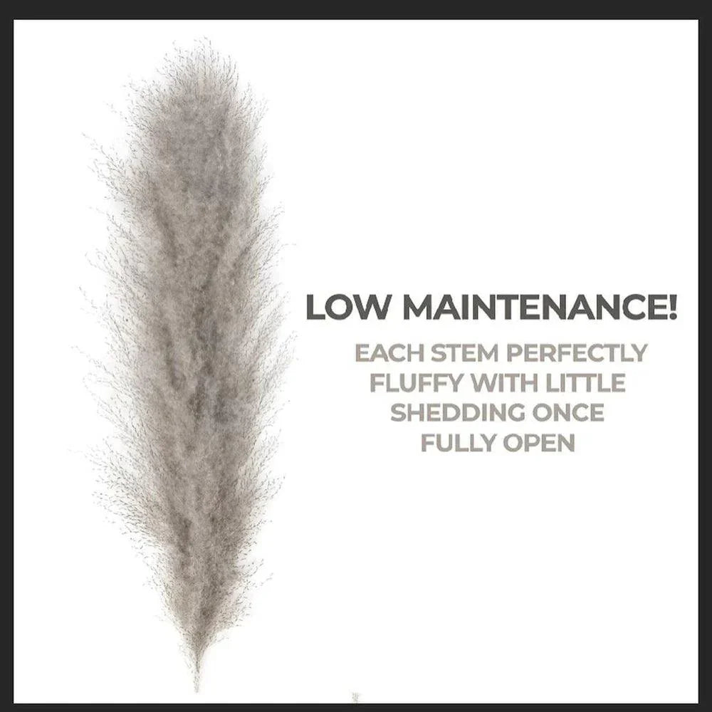 PampasElegance | Stylish Natural Dried Flower Bouquet for Home Décor 2