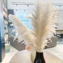 PampasElegance | Stylish Natural Dried Flower Bouquet for Home Décor 3