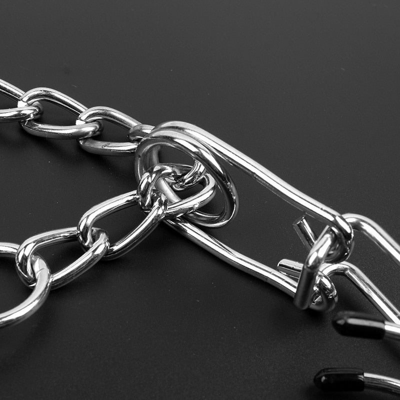 PawCharm | Personalized Dog Collar with Elegant Design 5