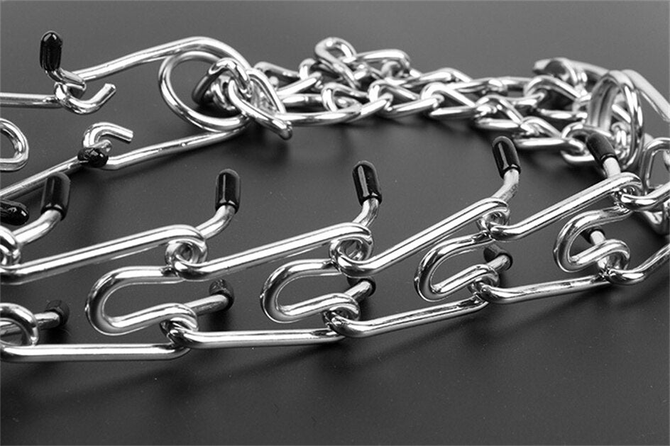 PawCharm | Personalized Dog Collar with Elegant Design 6