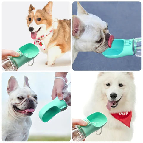 PawSip | Portable Dog Water Bottle – Leak-Proof & Easy for Outdoor Use 4