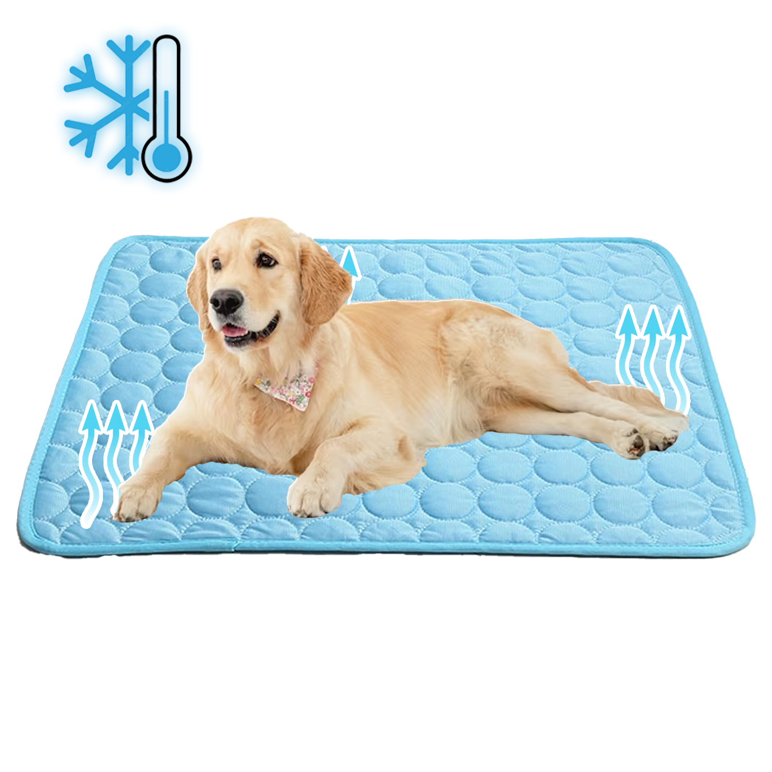Pet Cooling Mat 1