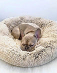 PlushHaven | Cozy Orthopedic Large Dog Bed with Washable Cover 0