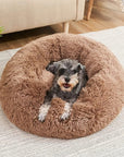 PlushHaven | Cozy Orthopedic Large Dog Bed with Washable Cover 9