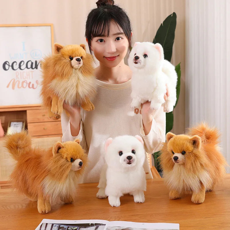 Premium Plush Pomeranian Stuffed Animal – Soft Realistic Dog Plushies for Kids, 12 Inches Tall 2