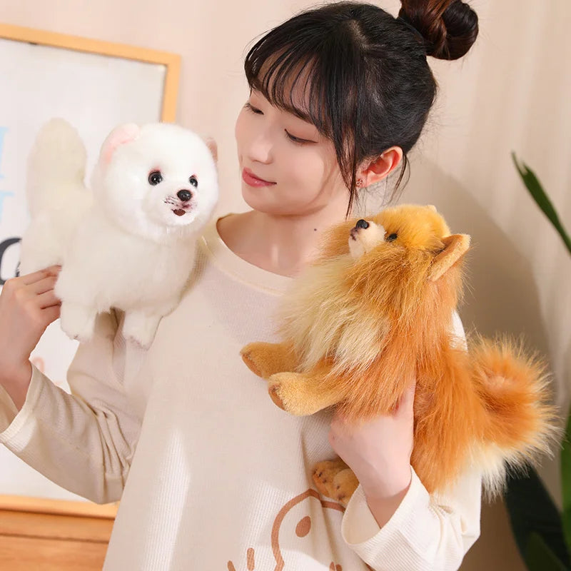 Premium Plush Pomeranian Stuffed Animal – Soft Realistic Dog Plushies for Kids, 12 Inches Tall 5