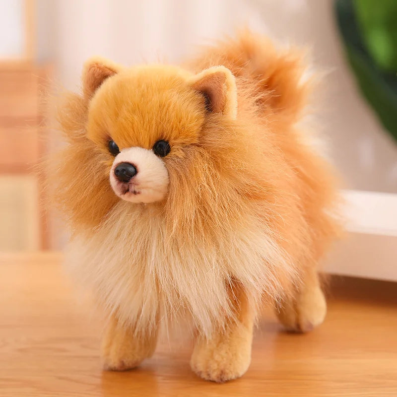 Premium Plush Pomeranian Stuffed Animal – Soft Realistic Dog Plushies for Kids, 12 Inches Tall 6