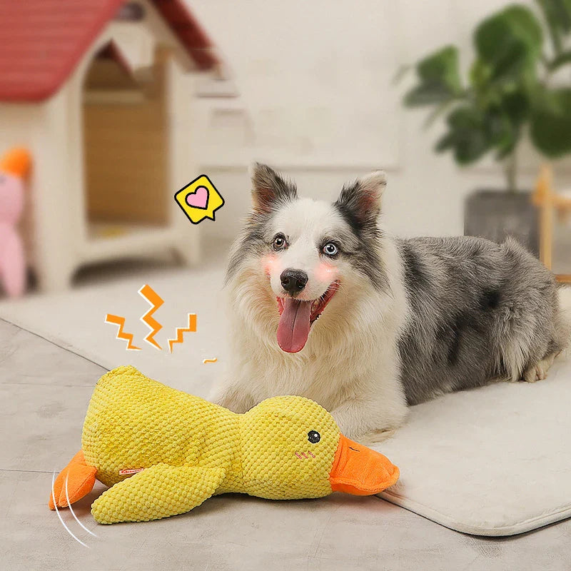 QuackMate | Interactive Plush Duck Dog Toy with Quacking Sound 6