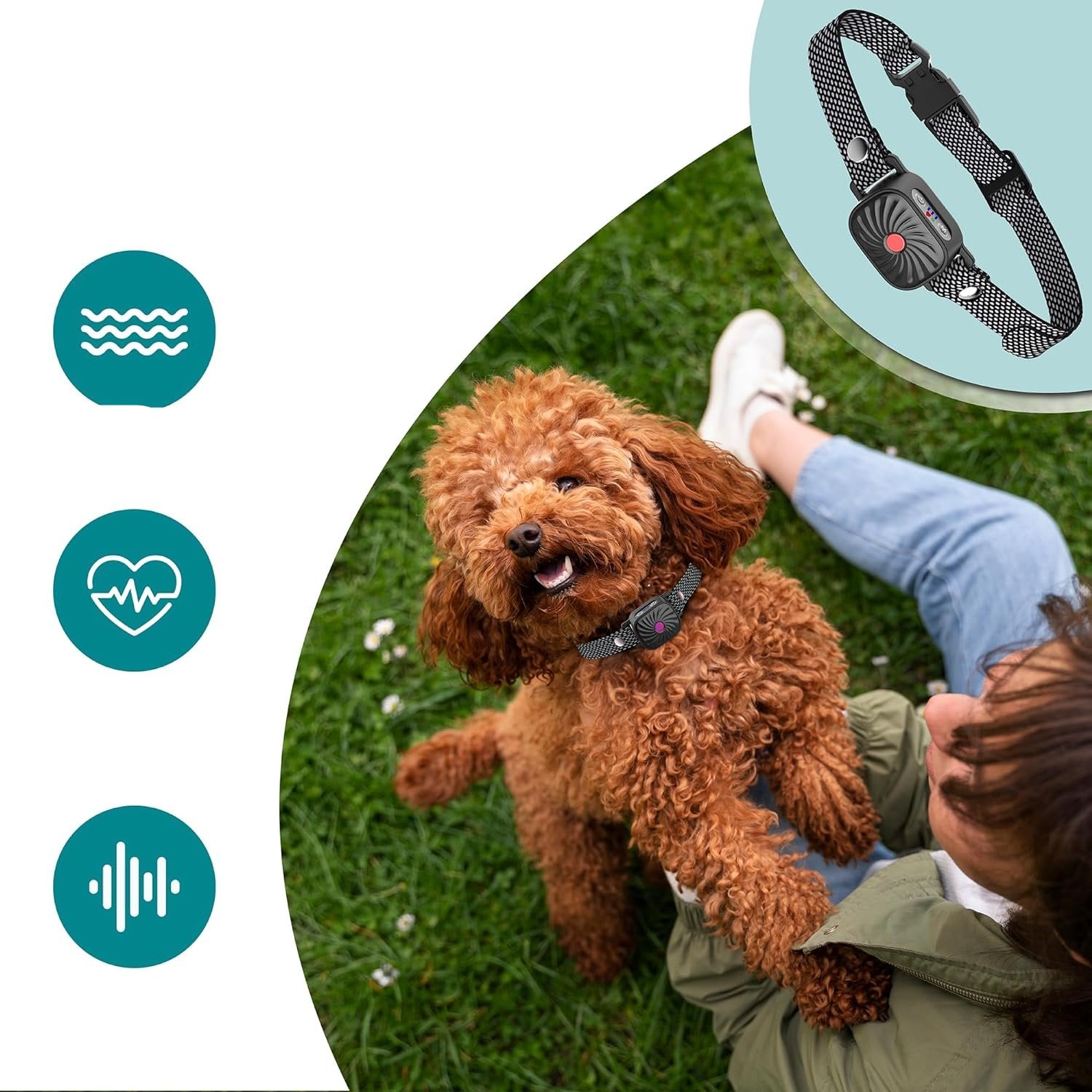 Quietpaw - Adjustable Anti Bark Collar for Dogs - Humane Bark Control Device 2
