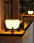 Rayvon | Elegant Outdoor Path Lighting for Timeless Simplicity 0