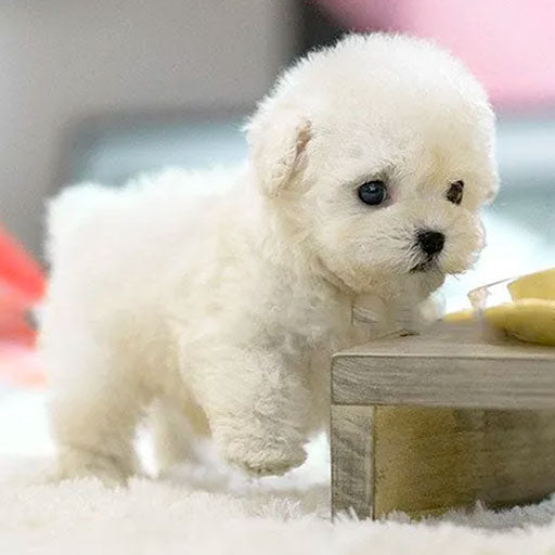 Realistic Interactive Plush Puppy Toy - Eco-Friendly, Soft Synthetic Leather, Engaging Companion for All Ages 1
