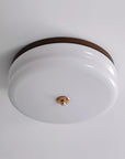 RowenWood | Elegant Modern Flush Mount Ceiling Light with Glass Shade 0