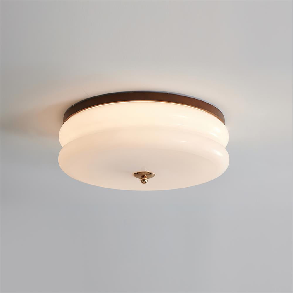 RowenWood | Elegant Modern Flush Mount Ceiling Light with Glass Shade 4