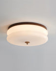 RowenWood | Elegant Modern Flush Mount Ceiling Light with Glass Shade 4