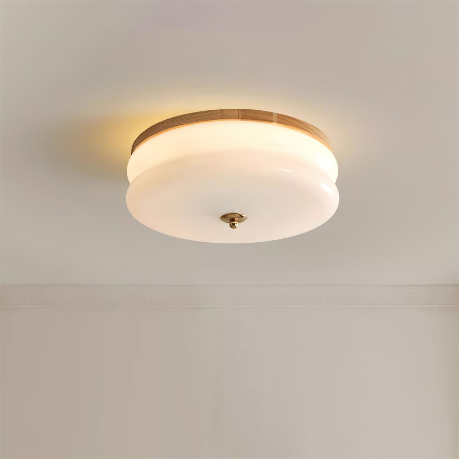 RowenWood | Elegant Modern Flush Mount Ceiling Light with Glass Shade 7