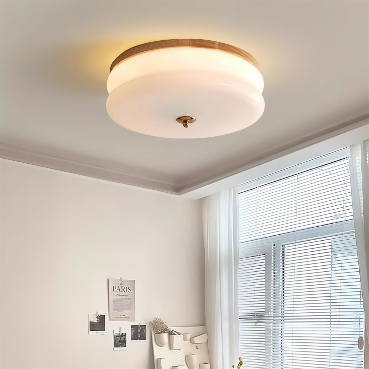 RowenWood | Elegant Modern Flush Mount Ceiling Light with Glass Shade 8
