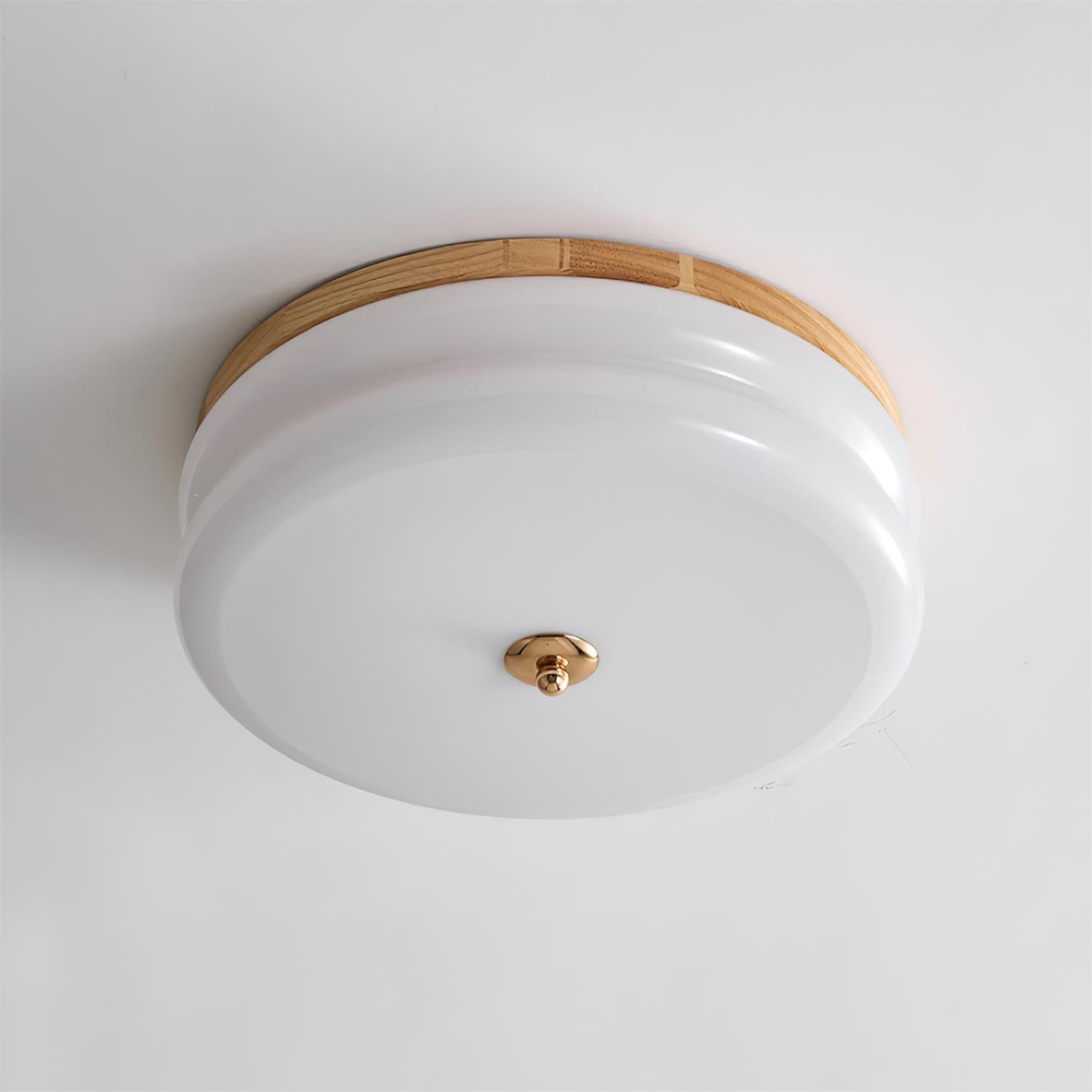 RowenWood | Elegant Modern Flush Mount Ceiling Light with Glass Shade 9