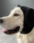 Ruis Dog Ear Protectors - Noise-Suppressing Canine Ear Protection Earmuffs 4