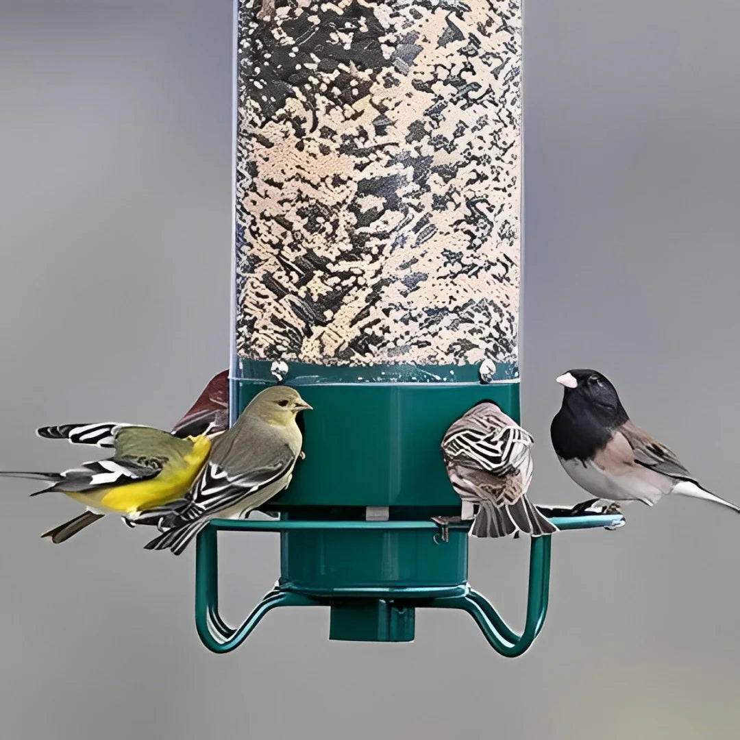 Squirrel Proof Bird Feeder 4