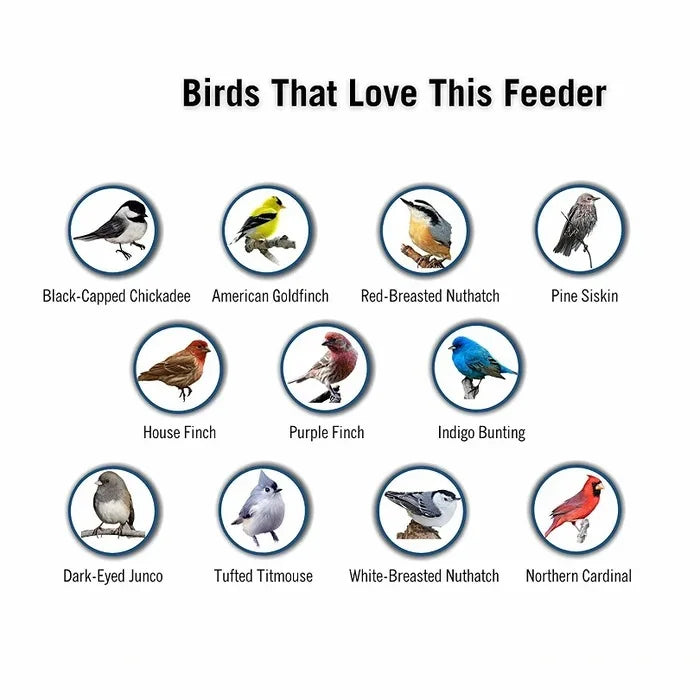 Squirrel Proof Bird Feeder 5