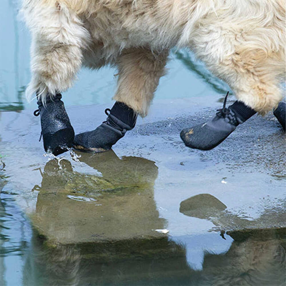 TerraPaws | Durable Waterproof Breathable Dog Boots for All Terrains 0