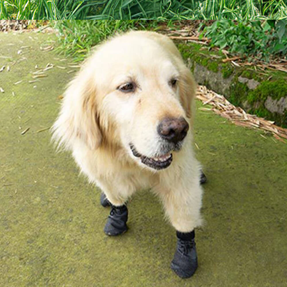 TerraPaws | Durable Waterproof Breathable Dog Boots for All Terrains 3