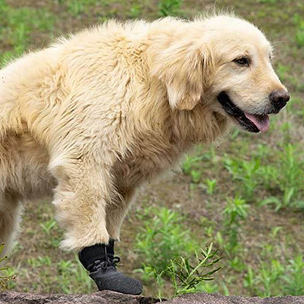 TerraPaws | Durable Waterproof Breathable Dog Boots for All Terrains 4