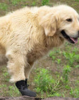 TerraPaws | Durable Waterproof Breathable Dog Boots for All Terrains 4